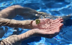 无遮挡18禁啪啪成人黄漫男男